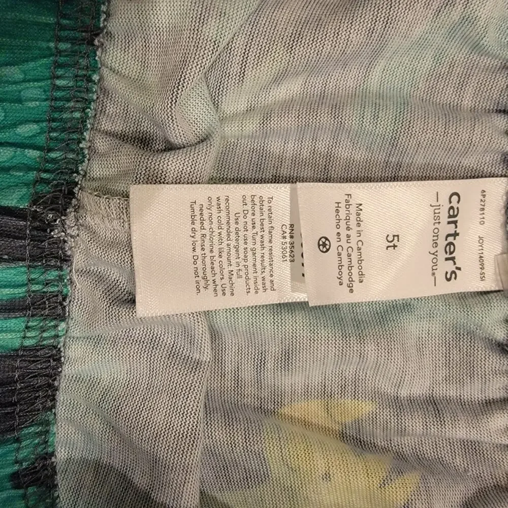 Boys 5t Two Piece Carter Dinosaur Pajamas